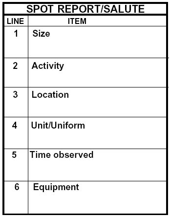 salute report smart card|blank salute report.